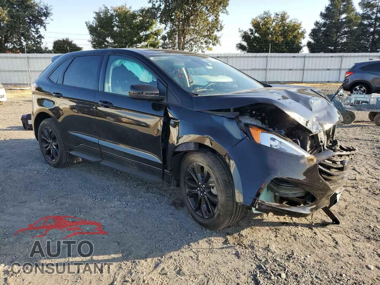 FORD EDGE 2024 - 2FMPK4G9XRBB11652