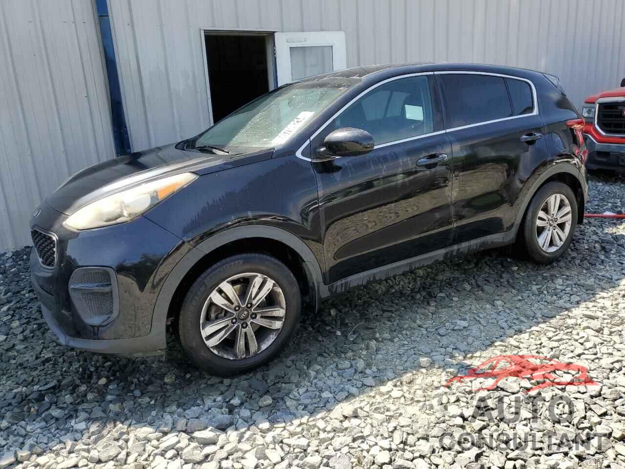 KIA SPORTAGE 2017 - KNDPM3AC5H7299016