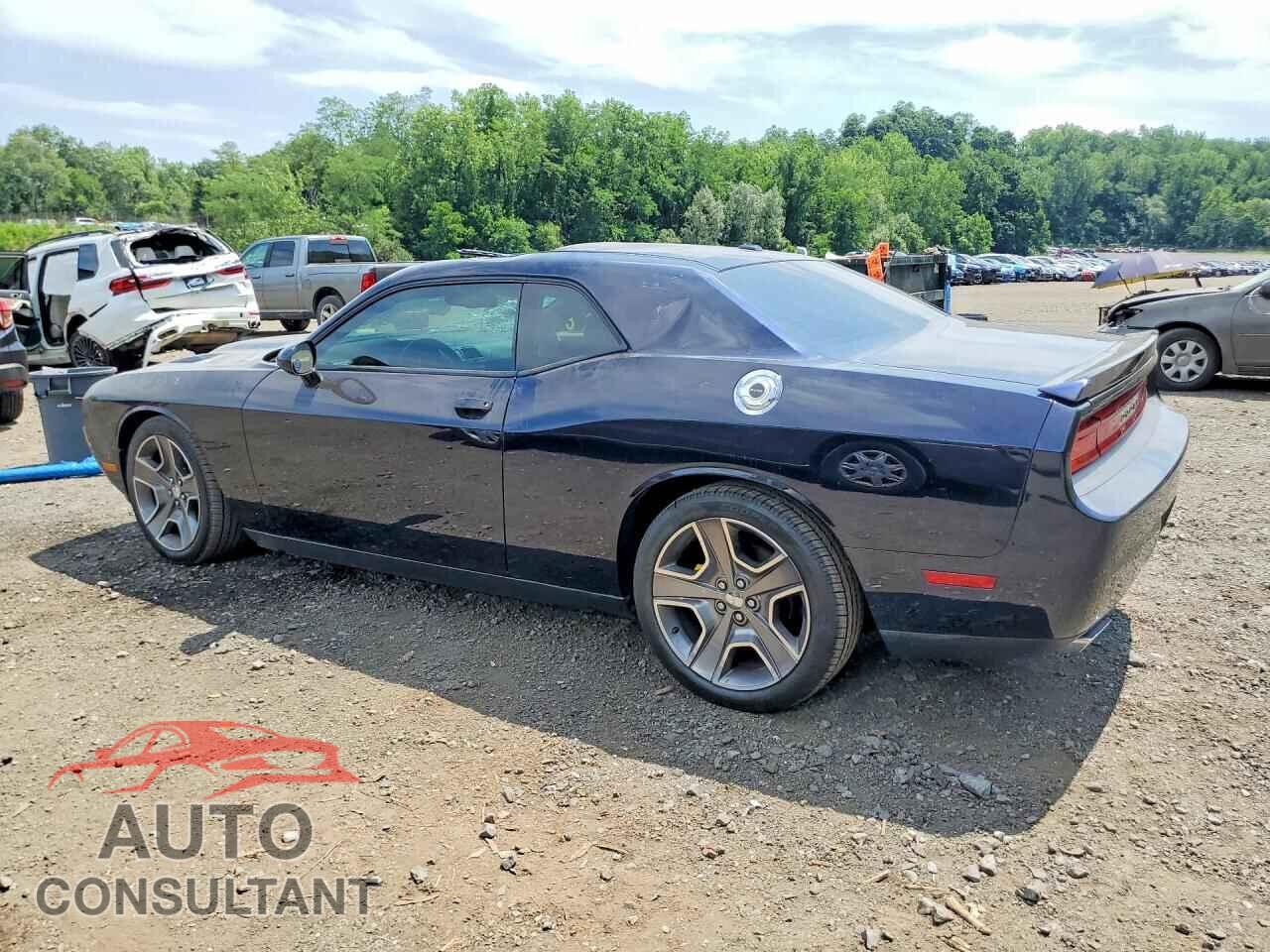 DODGE CHALLENGER 2012 - 2C3CDYBT0CH254822