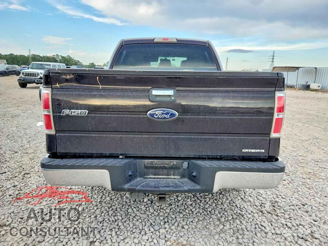 FORD F150 2013 - 1FTEW1CM7DFD40273