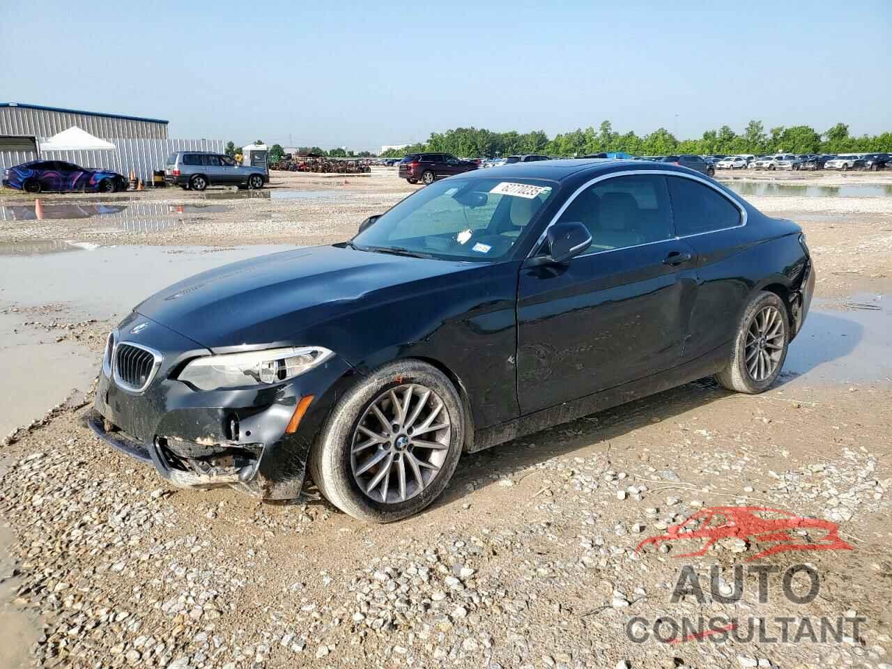 BMW 2 SERIES 2016 - WBA1F9C5XGV545096