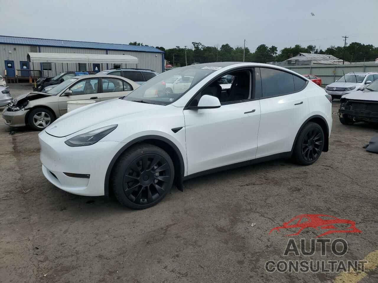 TESLA MODEL Y 2023 - 7SAYGAEE3PF669631