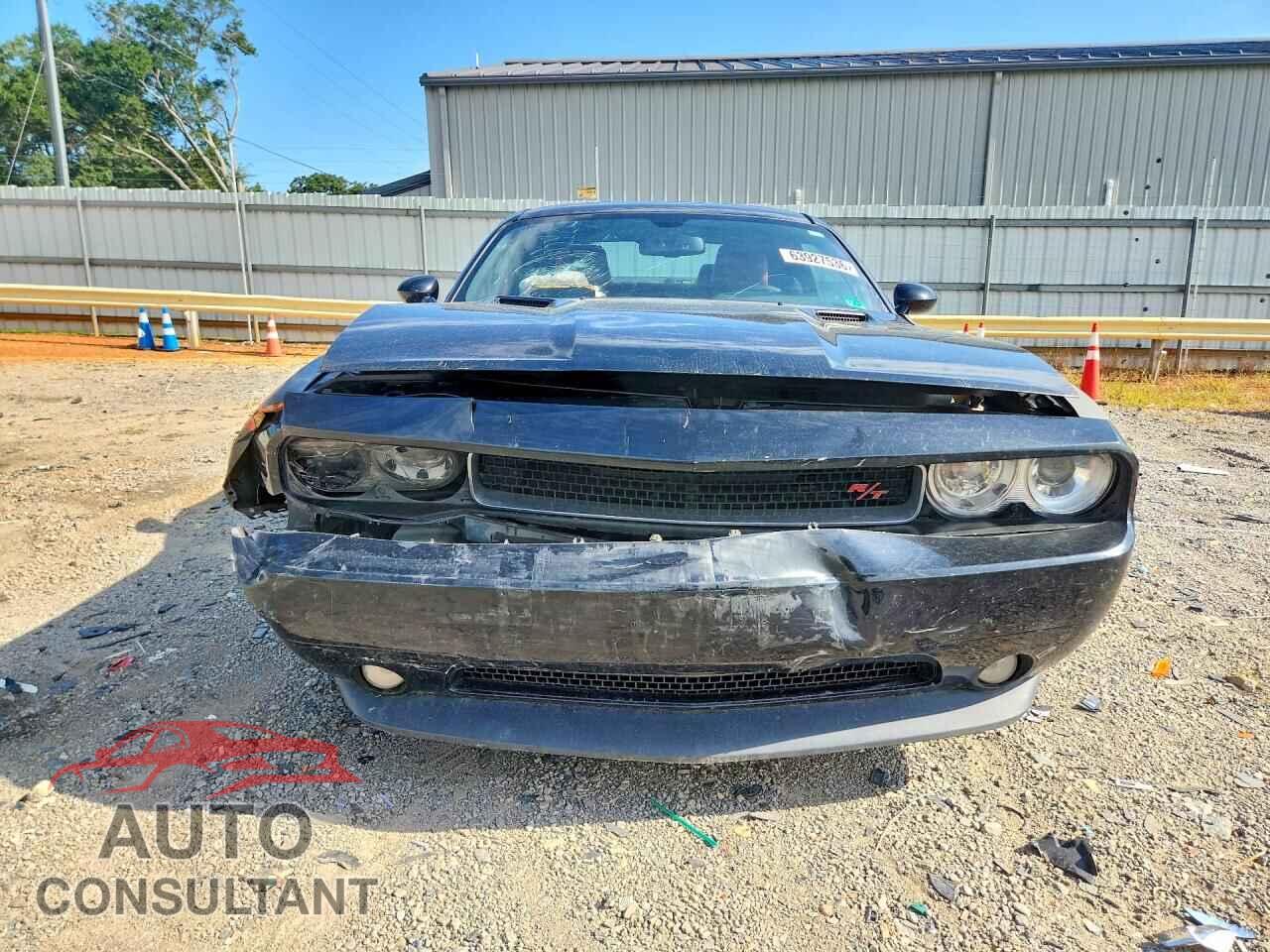 DODGE CHALLENGER 2014 - 2C3CDYBT9EH124489
