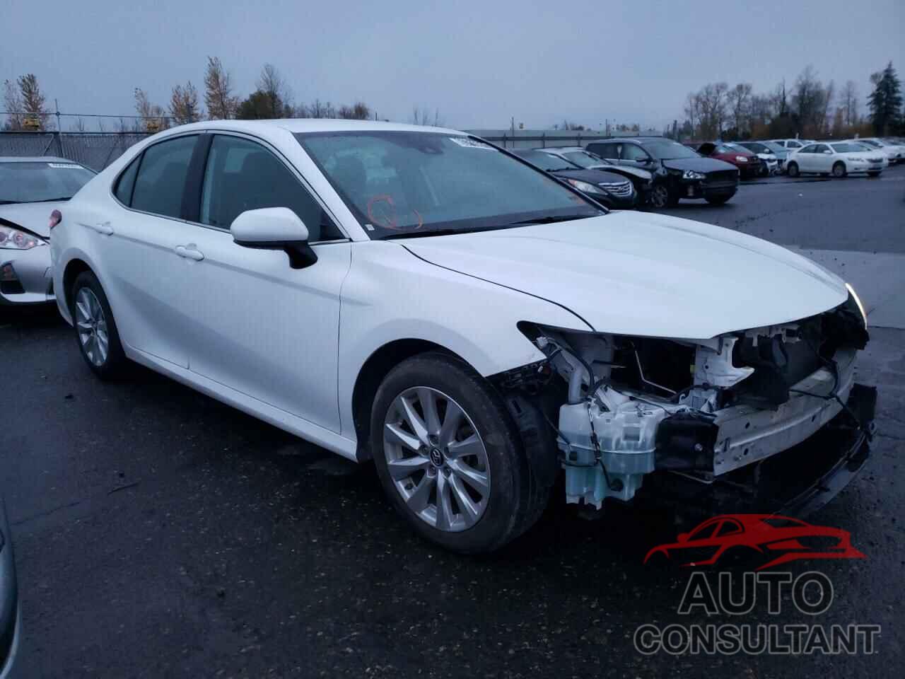 TOYOTA CAMRY 2019 - 4T1B11HK5KU250066