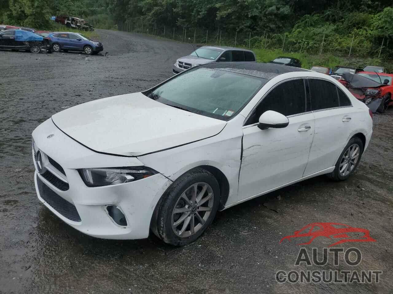 MERCEDES-BENZ A-CLASS 2019 - WDD3G4FB0KW025060