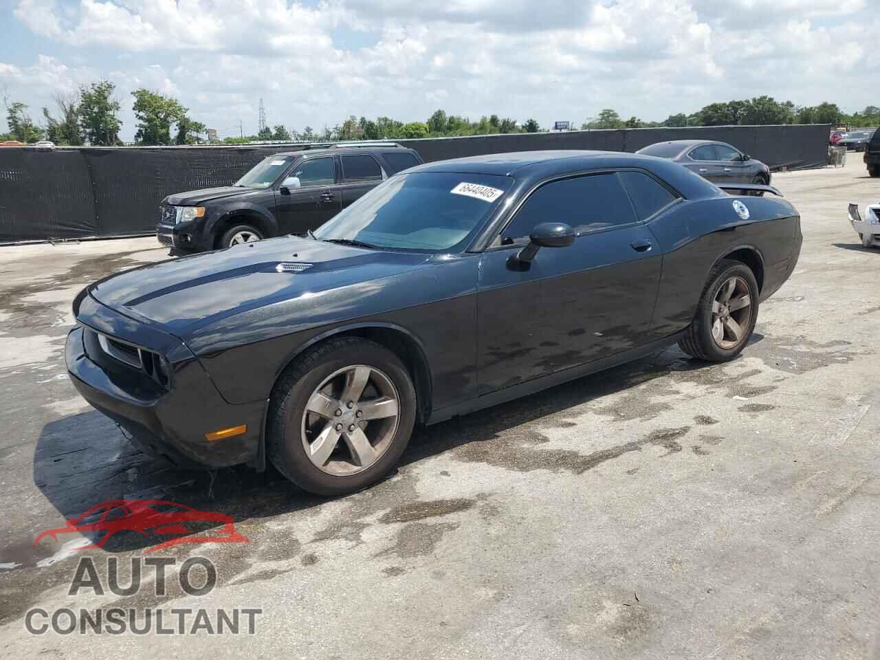 DODGE CHALLENGER 2013 - 2C3CDYAG3DH501580