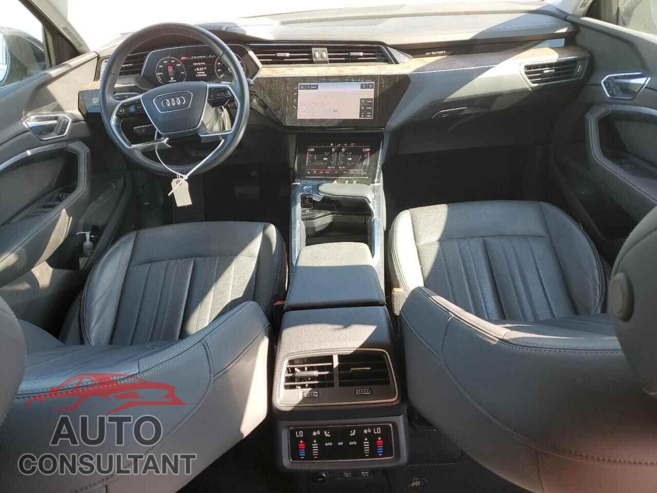 AUDI E-TRON 2019 - WA1LAAGE0KB013687