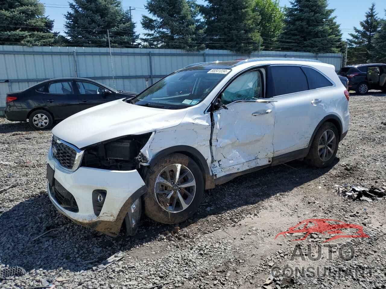 KIA SORENTO 2019 - 5XYPHDA52KG524384
