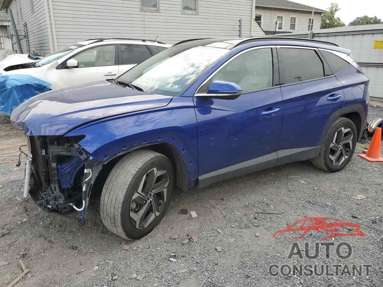 HYUNDAI TUCSON 2024 - 5NMJECDEXRH347586