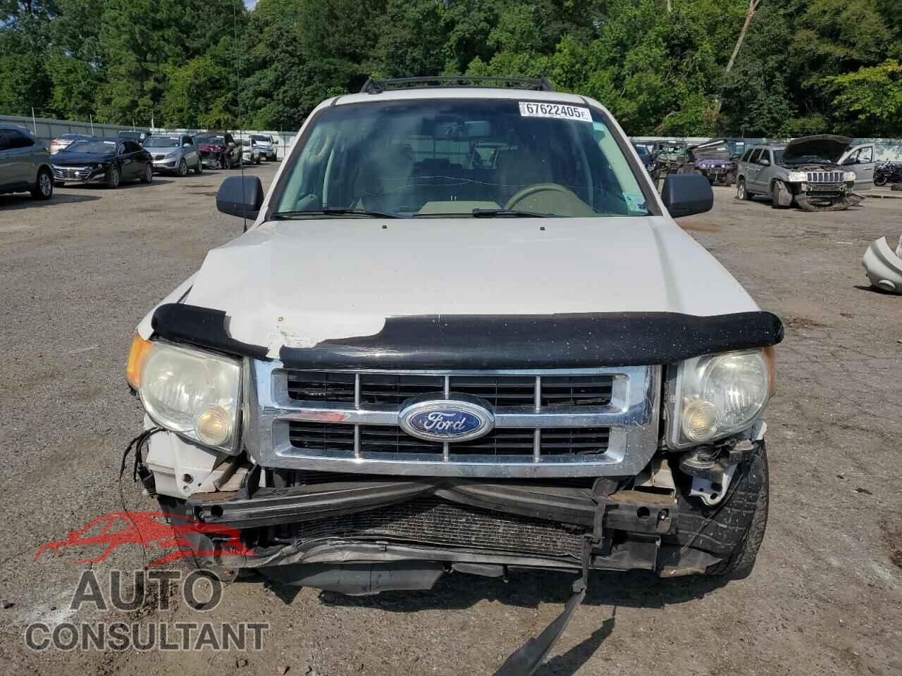 FORD ESCAPE 2011 - 1FMCU0D71BKA04294
