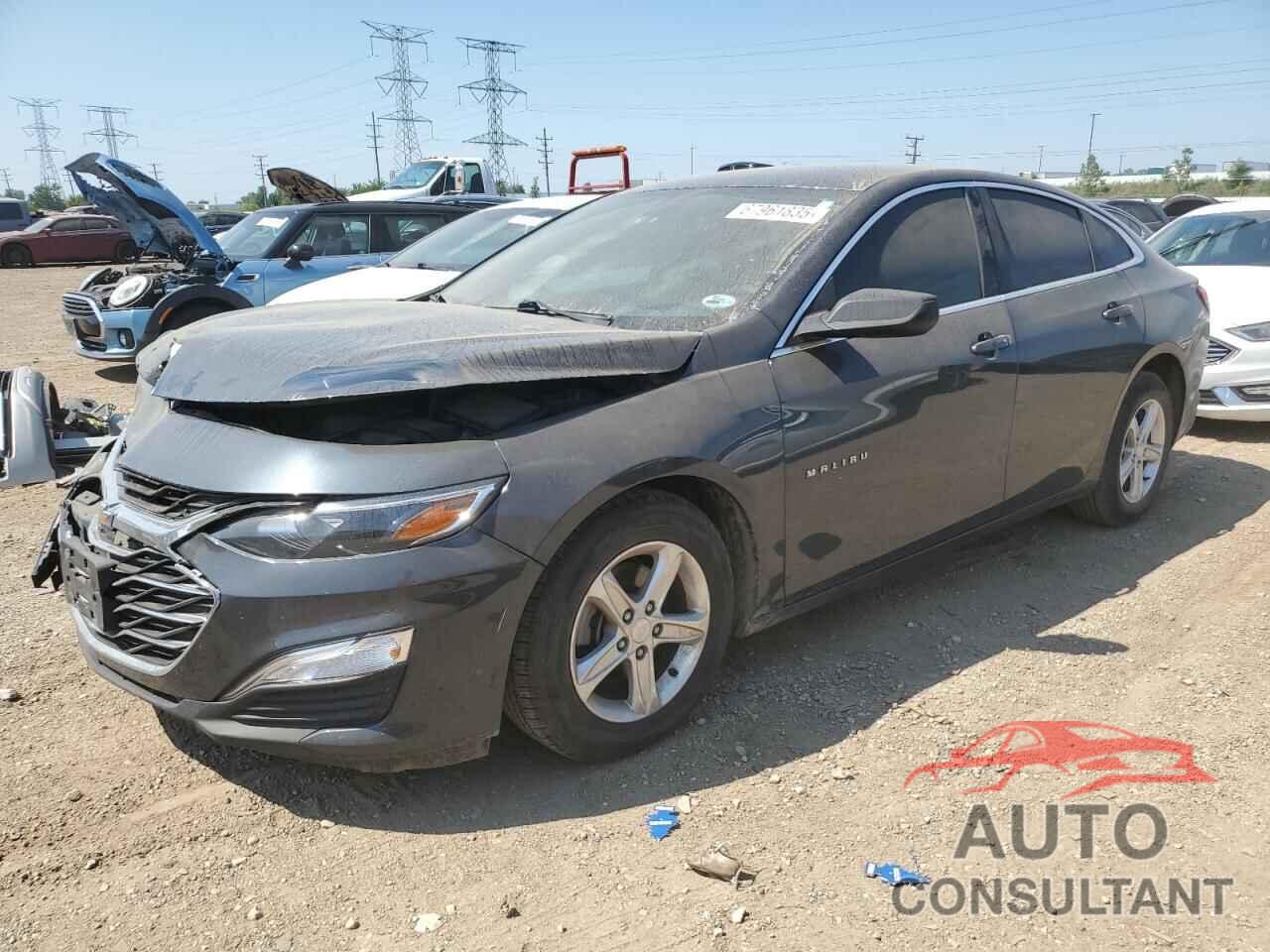 CHEVROLET MALIBU 2019 - 1G1ZB5ST0KF121626