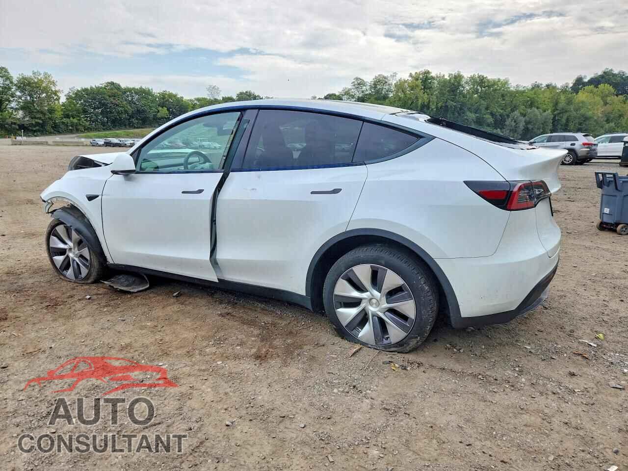 TESLA MODEL Y 2024 - 7SAYGDEE1RA259976