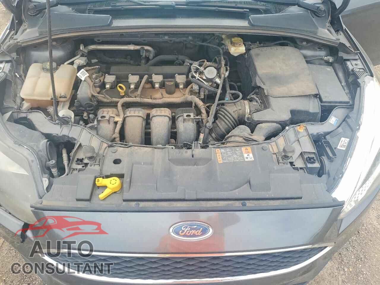 FORD FOCUS 2017 - 1FADP3K28HL314508