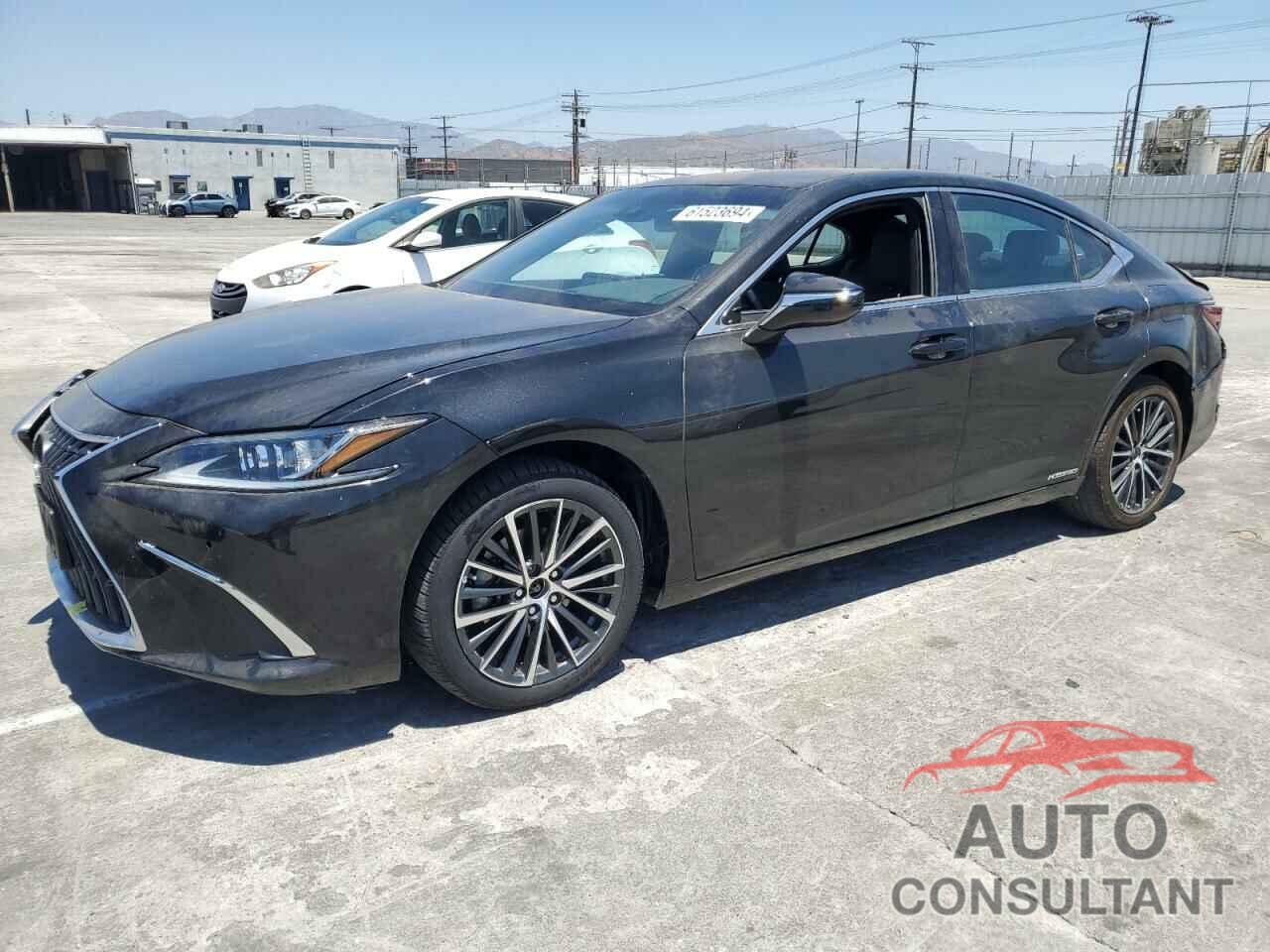 LEXUS ES300 2022 - 58ADA1C15NU026283