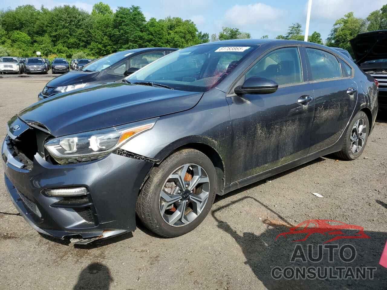KIA FORTE 2019 - 3KPF24AD5KE124689