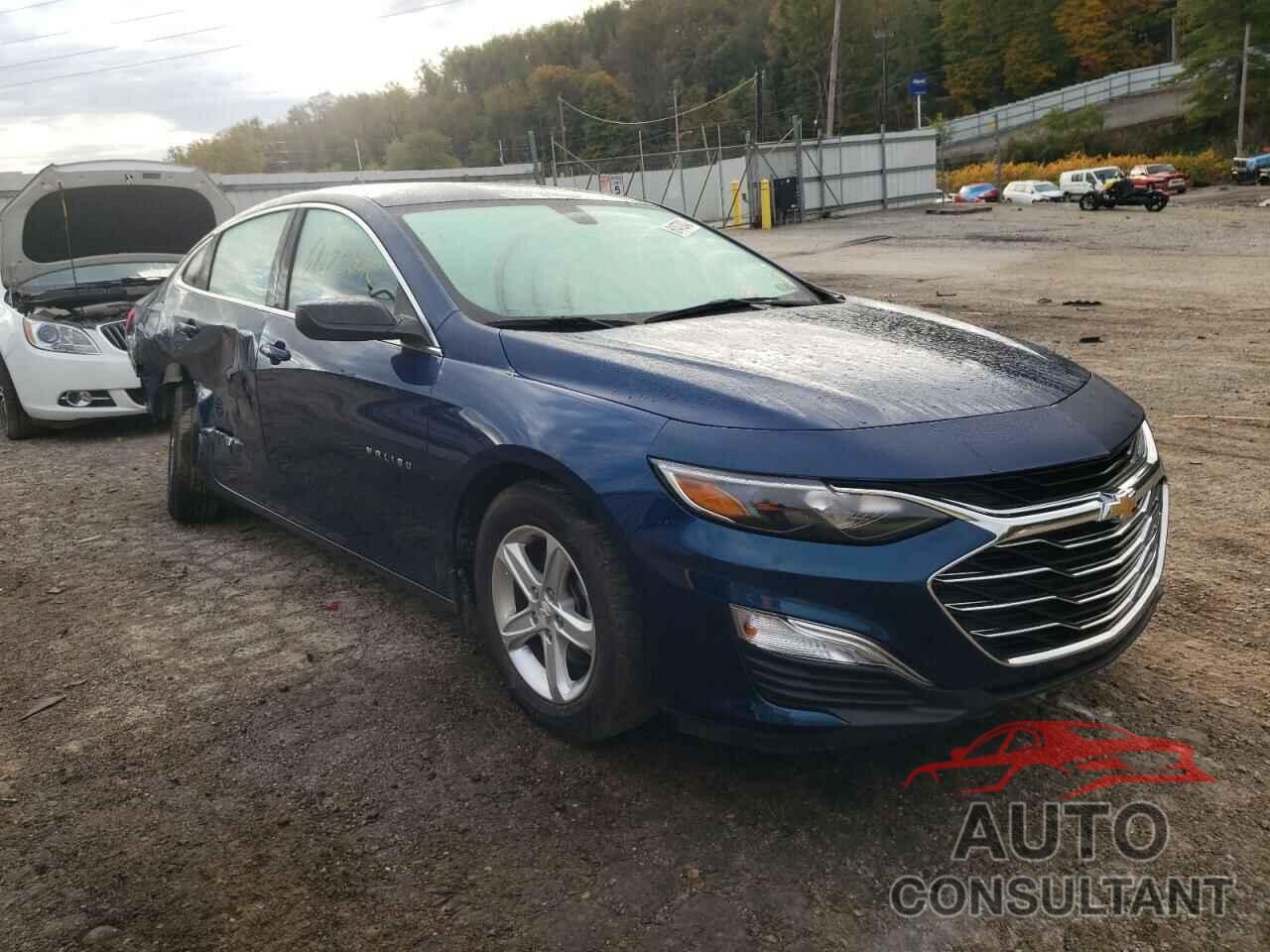 CHEVROLET MALIBU 2019 - 1G1ZB5ST2KF213966