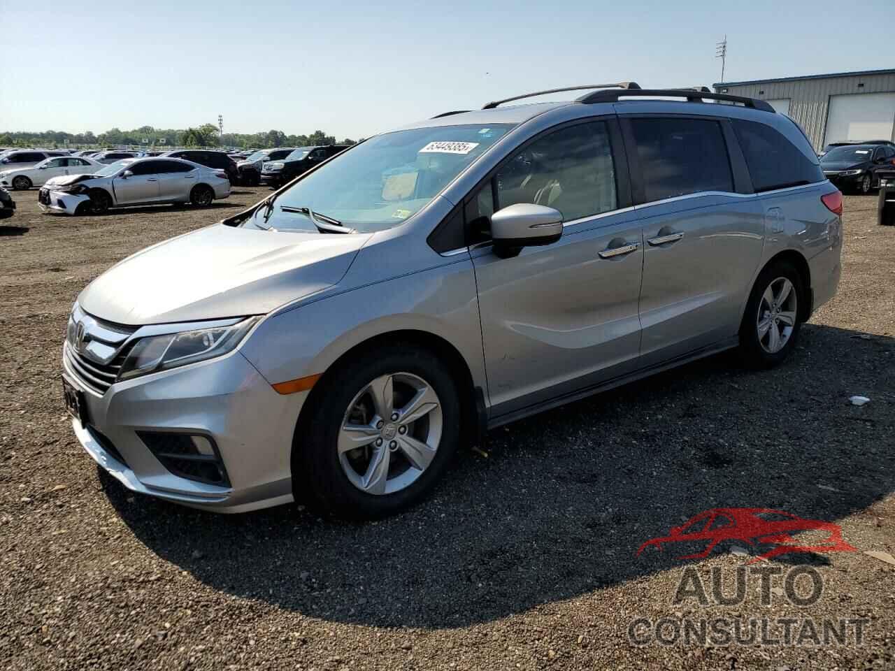 HONDA All Models 2019 - 5FNRL6H79KB037104