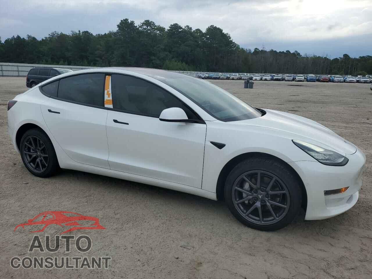 TESLA MODEL 3 2019 - 5YJ3E1EA9KF302025