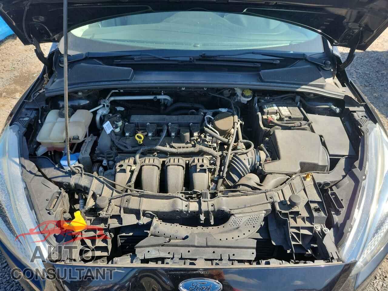 FORD FOCUS 2016 - 1FADP3K2XGL296432