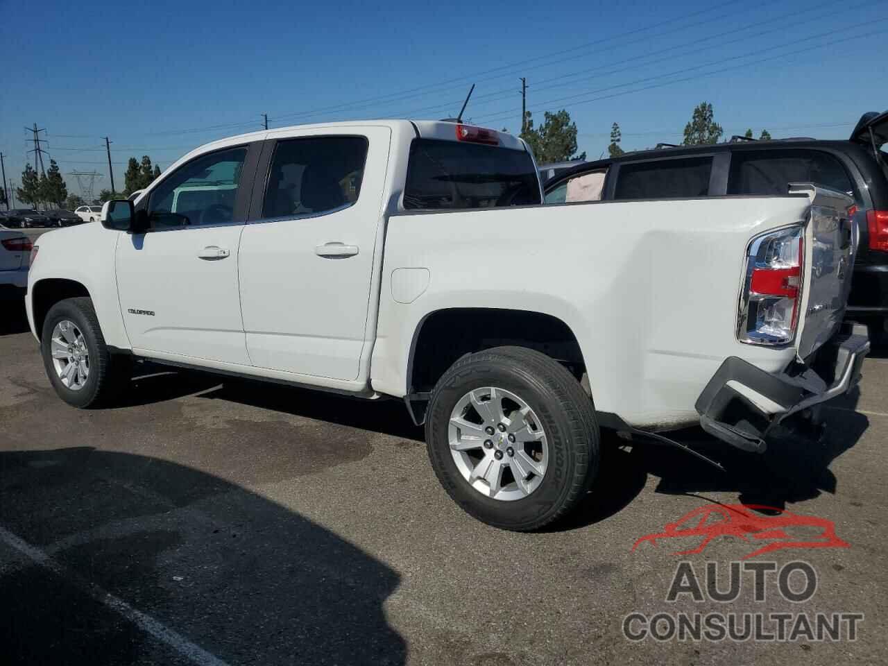 CHEVROLET COLORADO 2019 - 1GCGSCEN8K1141331