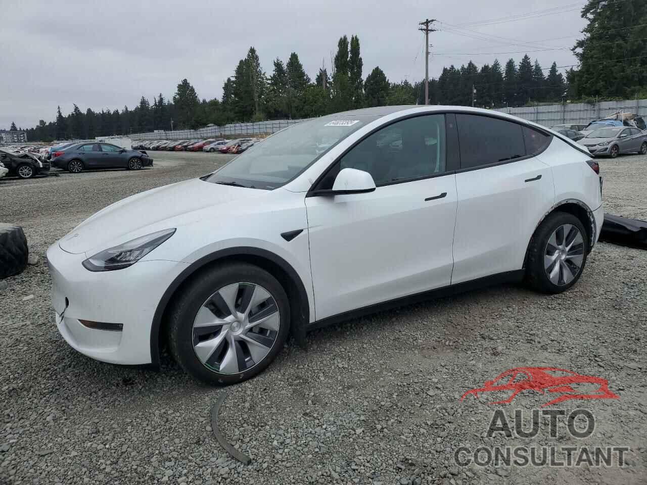 TESLA MODEL Y 2021 - 5YJYGDEE8MF106911
