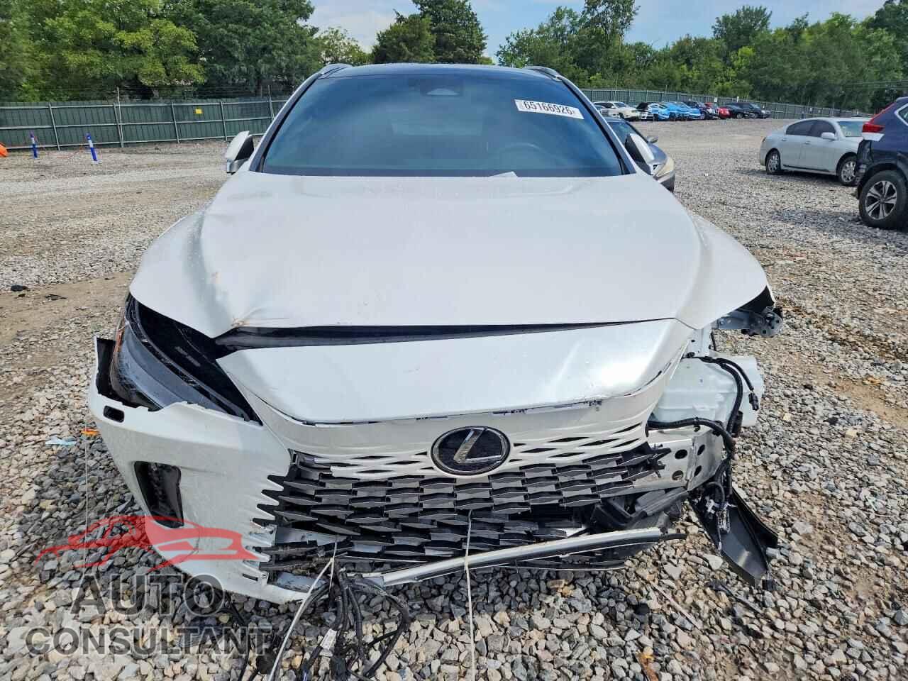 LEXUS UNKNOWN 2023 - 2T2BBMCA2PC016260