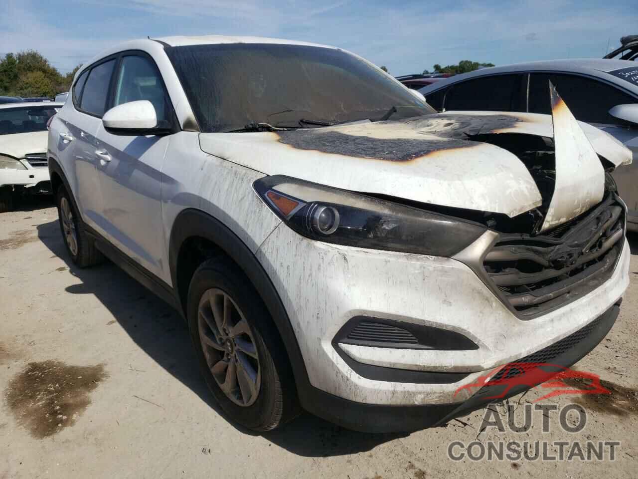 HYUNDAI TUCSON 2017 - KM8J23A47HU456806