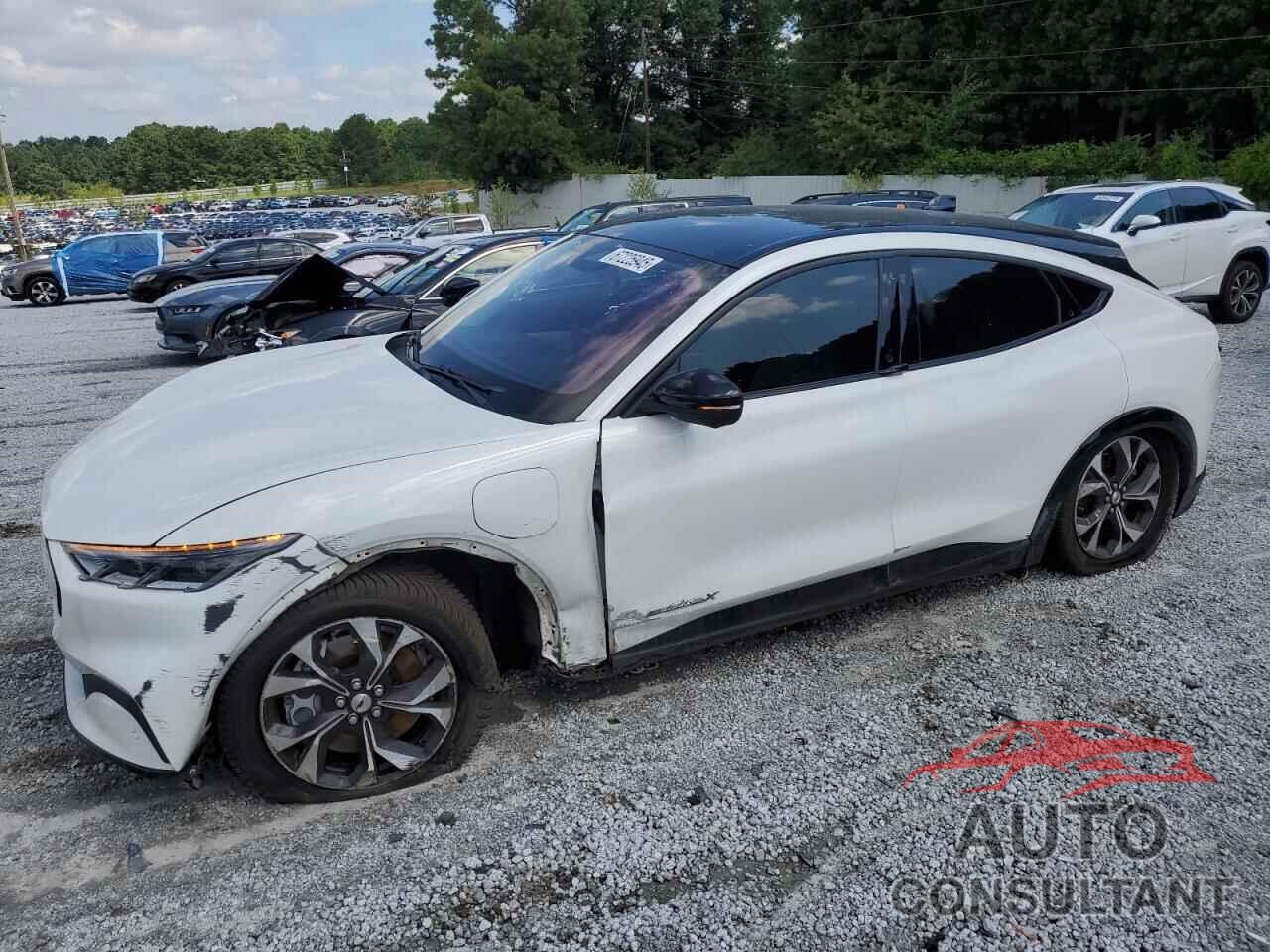 FORD MUSTANG 2021 - 3FMTK3SU9MMA09271