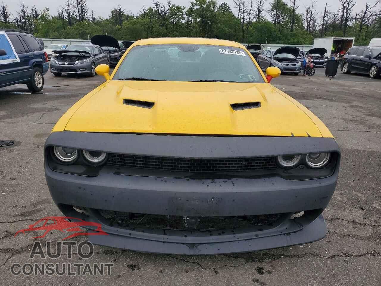 DODGE CHALLENGER 2017 - 2C3CDZAG1HH503050