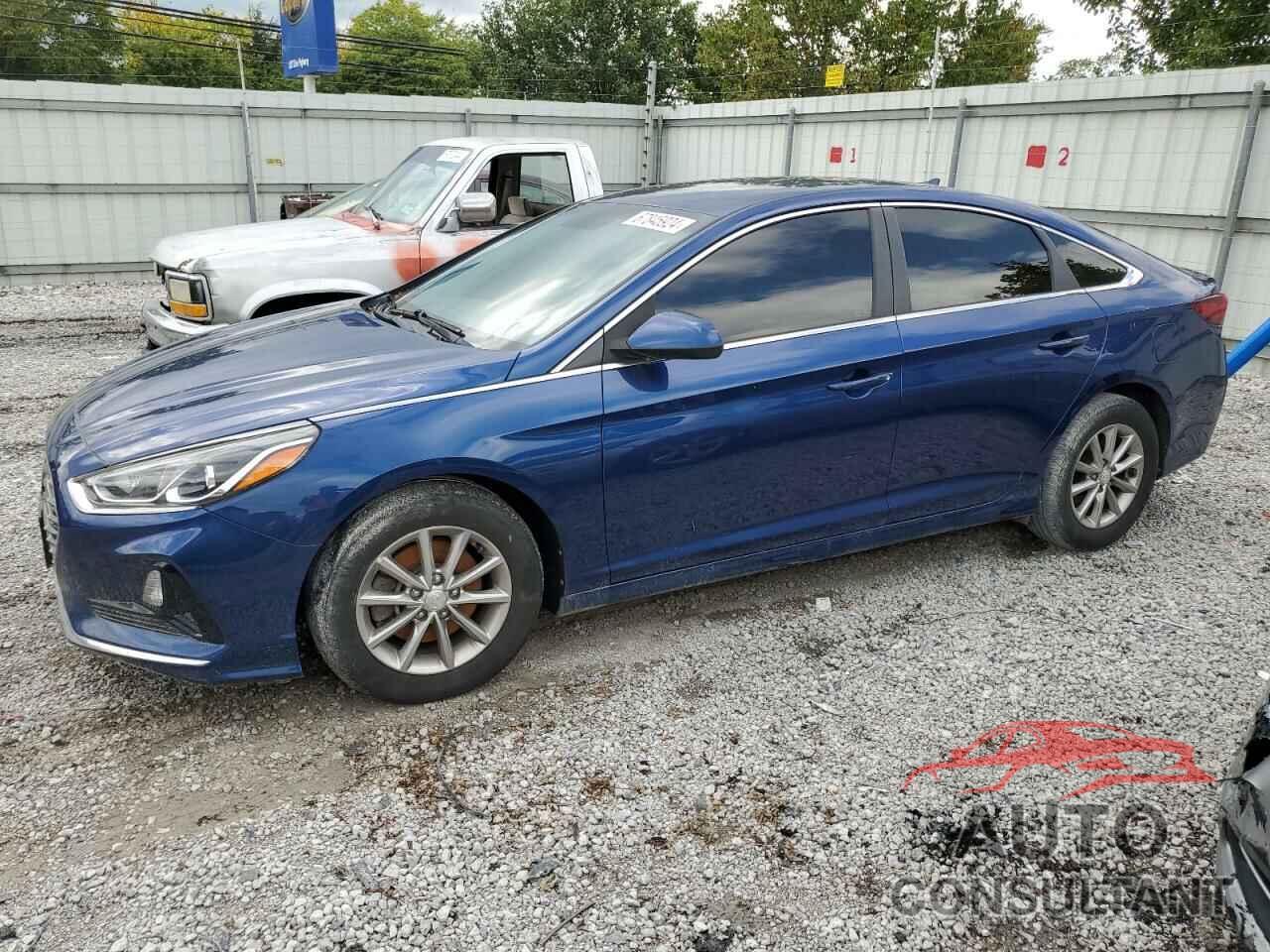 HYUNDAI SONATA 2019 - 5NPE24AF6KH799153