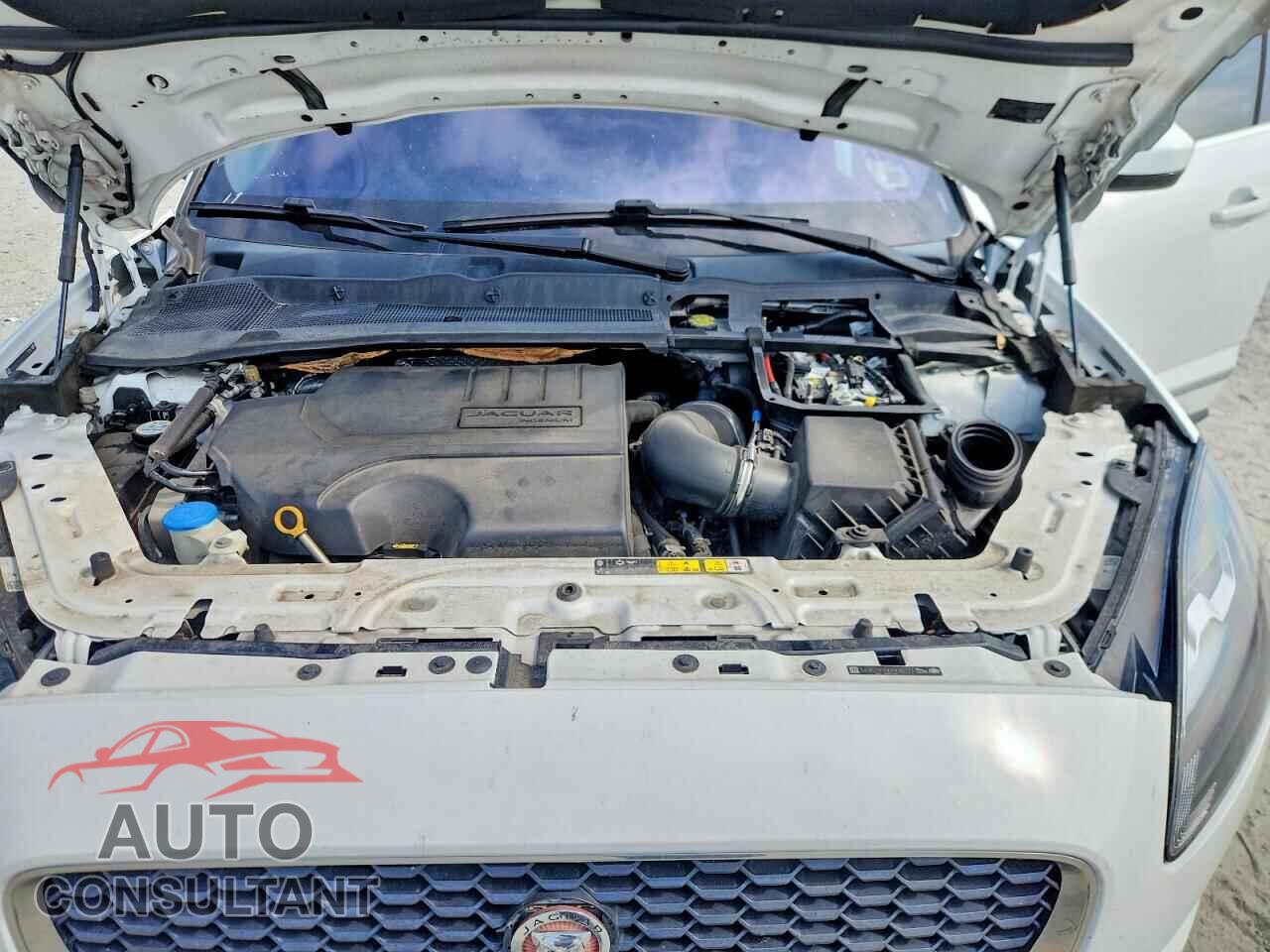JAGUAR ETYPE 2018 - SADFJ2FX9J1Z05277