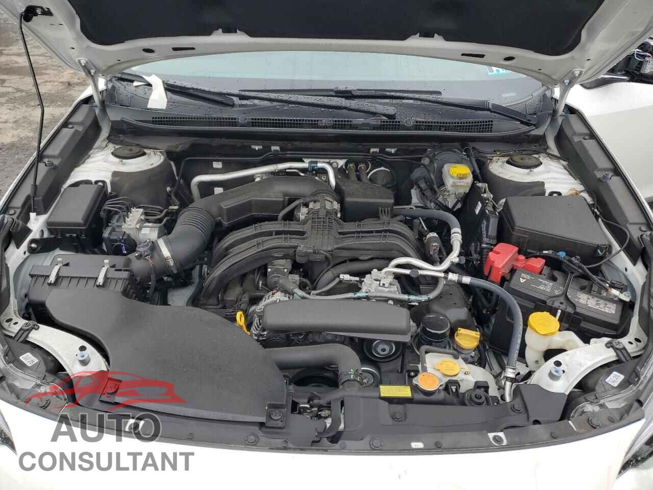 SUBARU OUTBACK 2024 - 4S4BTADC9R3274458