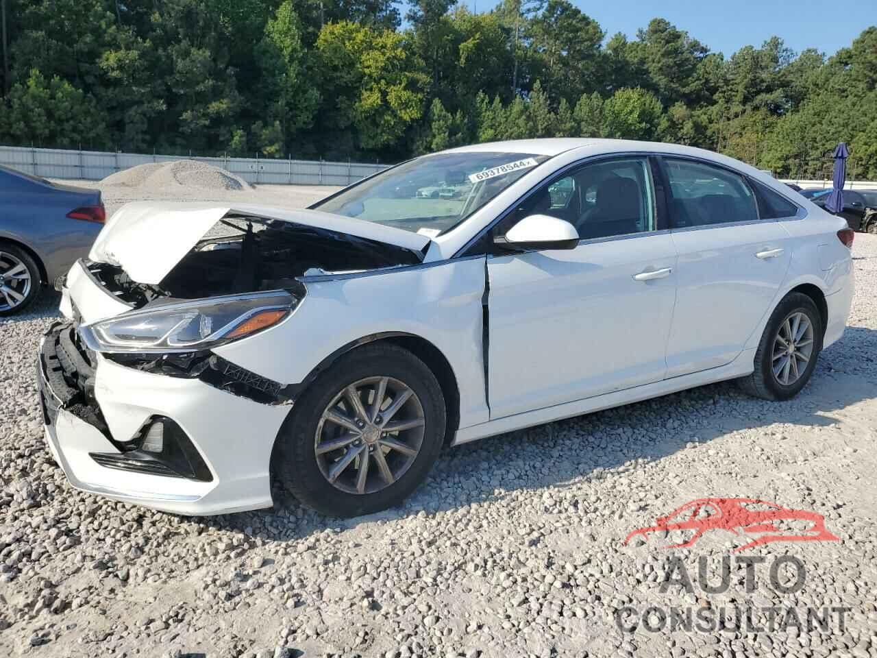 HYUNDAI SONATA 2019 - 5NPE24AF0KH755147