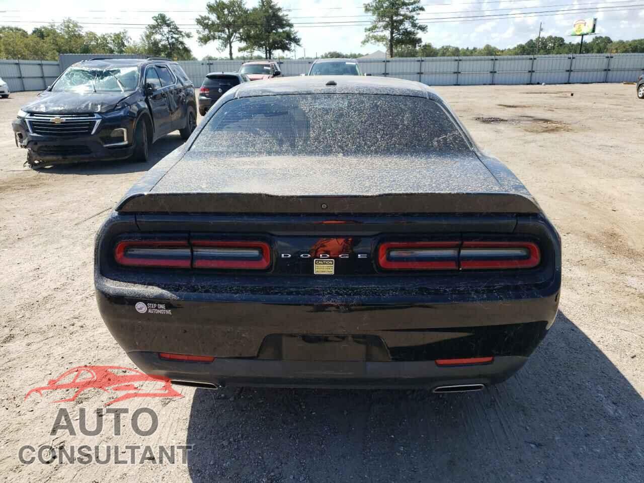 DODGE CHALLENGER 2019 - 2C3CDZAG4KH733396