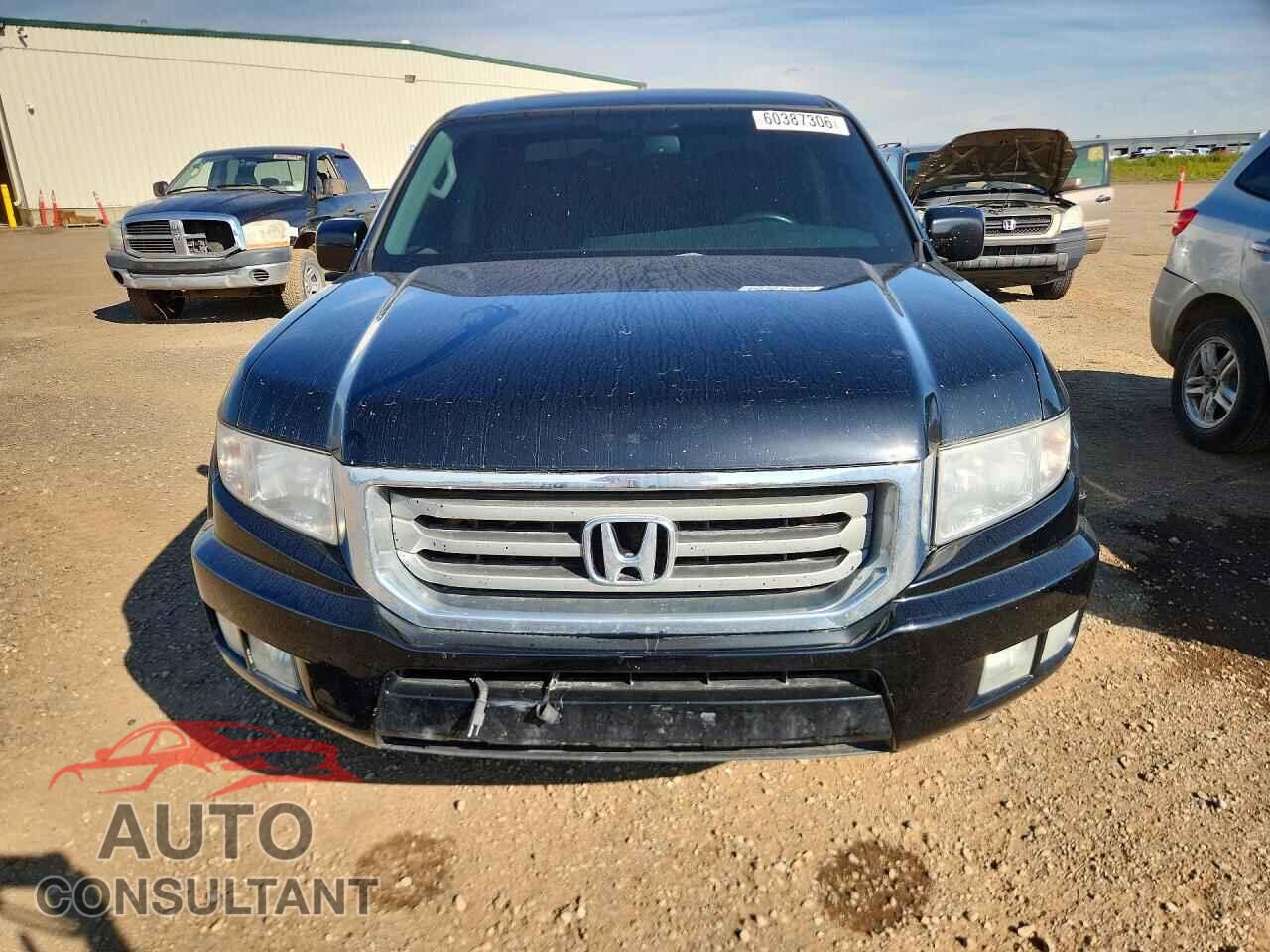 HONDA RIDGELINE 2013 - 5FPYK1F57DB502007