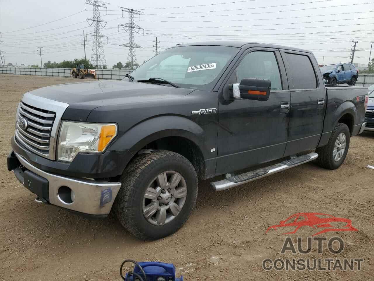 FORD F-150 2010 - 1FTEW1E84AFD14774