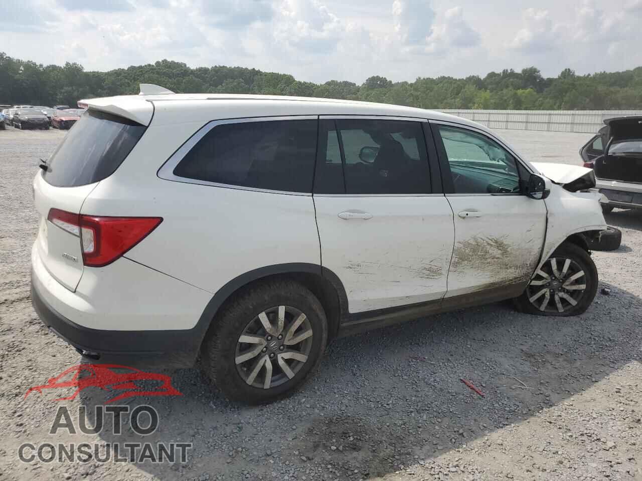 HONDA PILOT 2019 - 5FNYF6H30KB064997