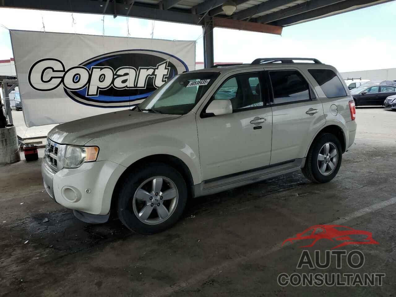 FORD ESCAPE 2010 - 1FMCU0EG4AKB63534