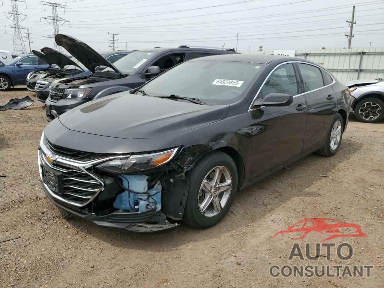 CHEVROLET MALIBU 2019 - 1G1ZB5ST3KF218982