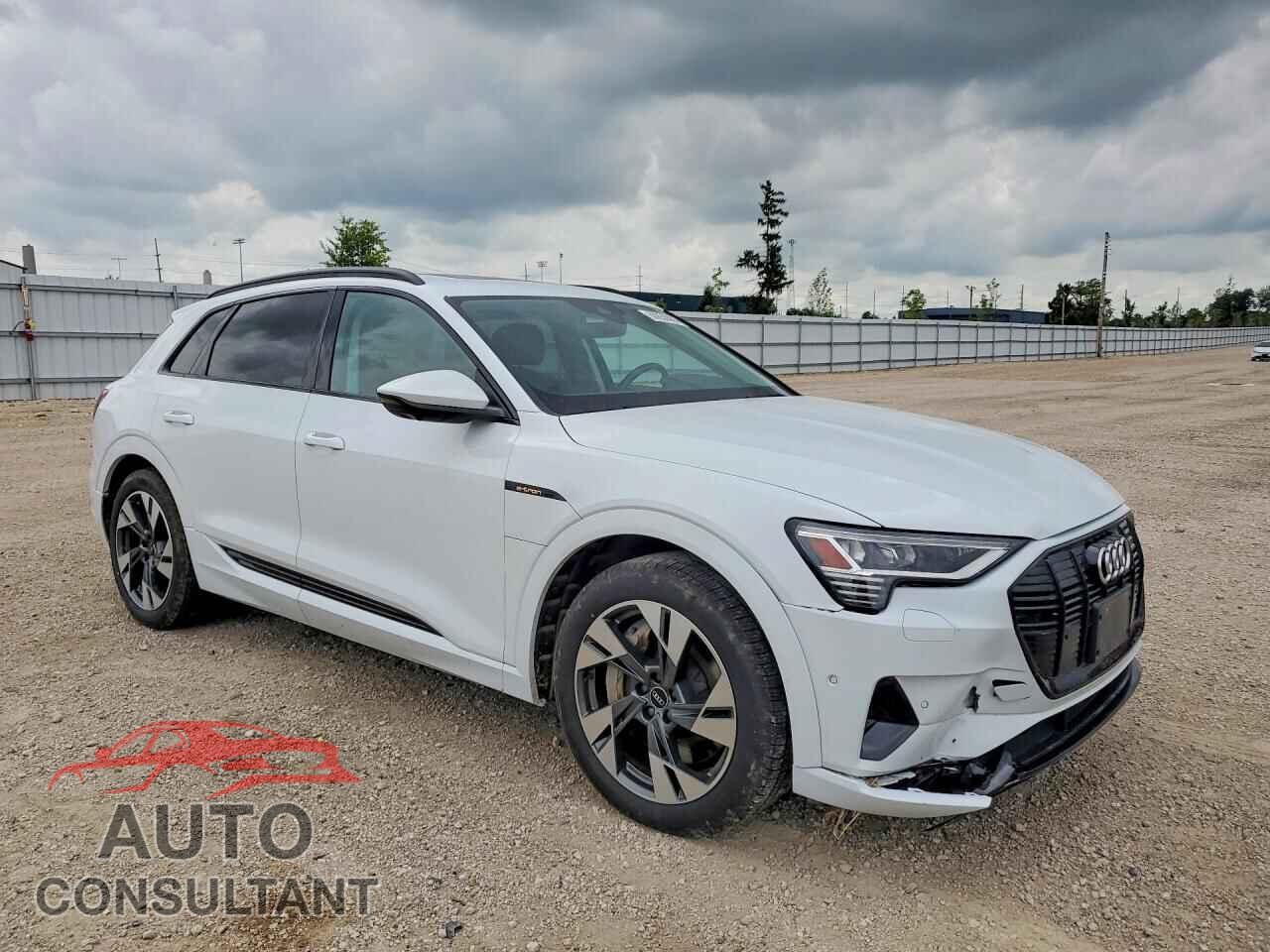 AUDI E-TRON 2021 - WA1AAAGE0MB010699