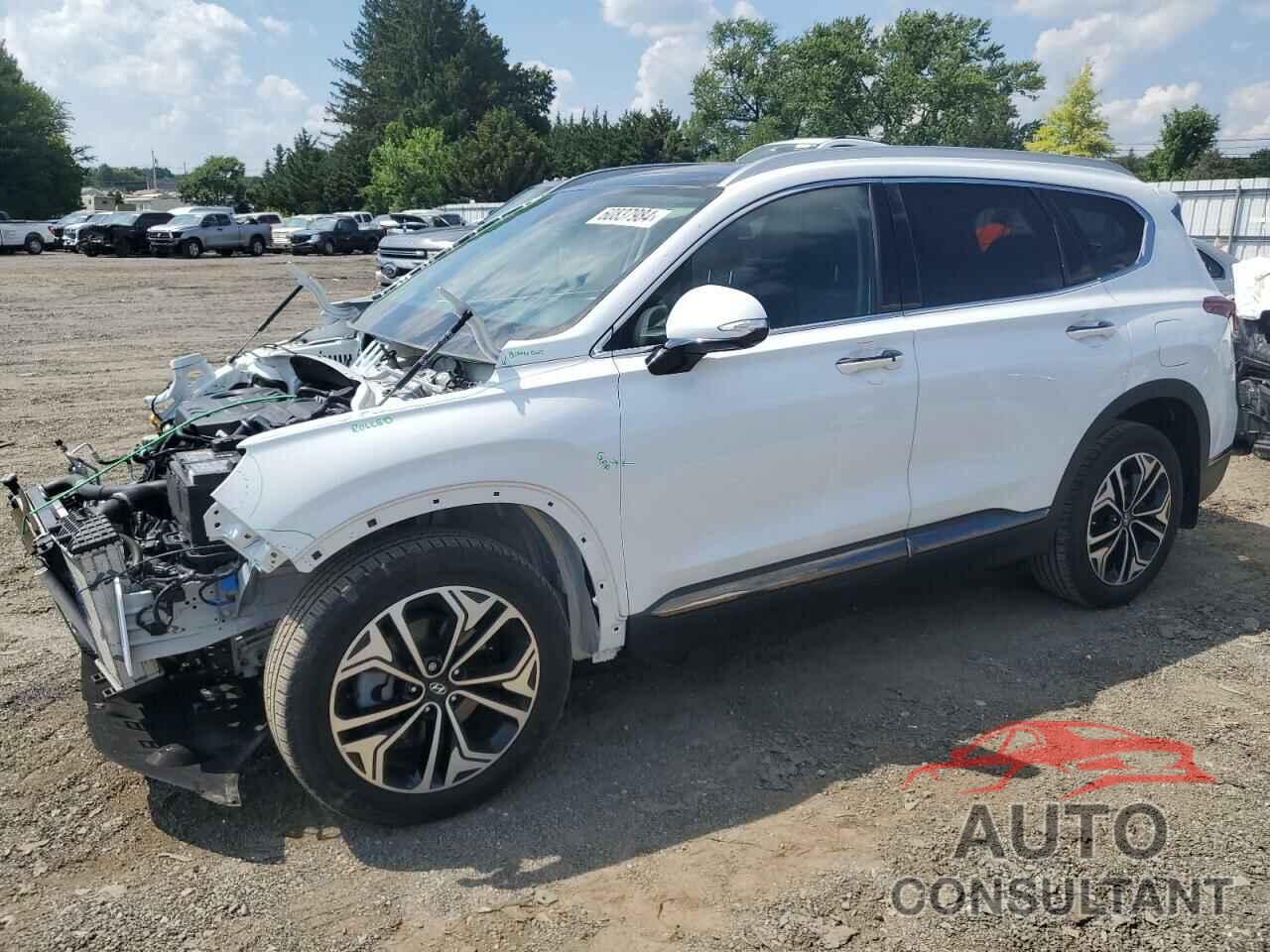 HYUNDAI SANTA FE 2020 - 5NMS53AA2LH289650