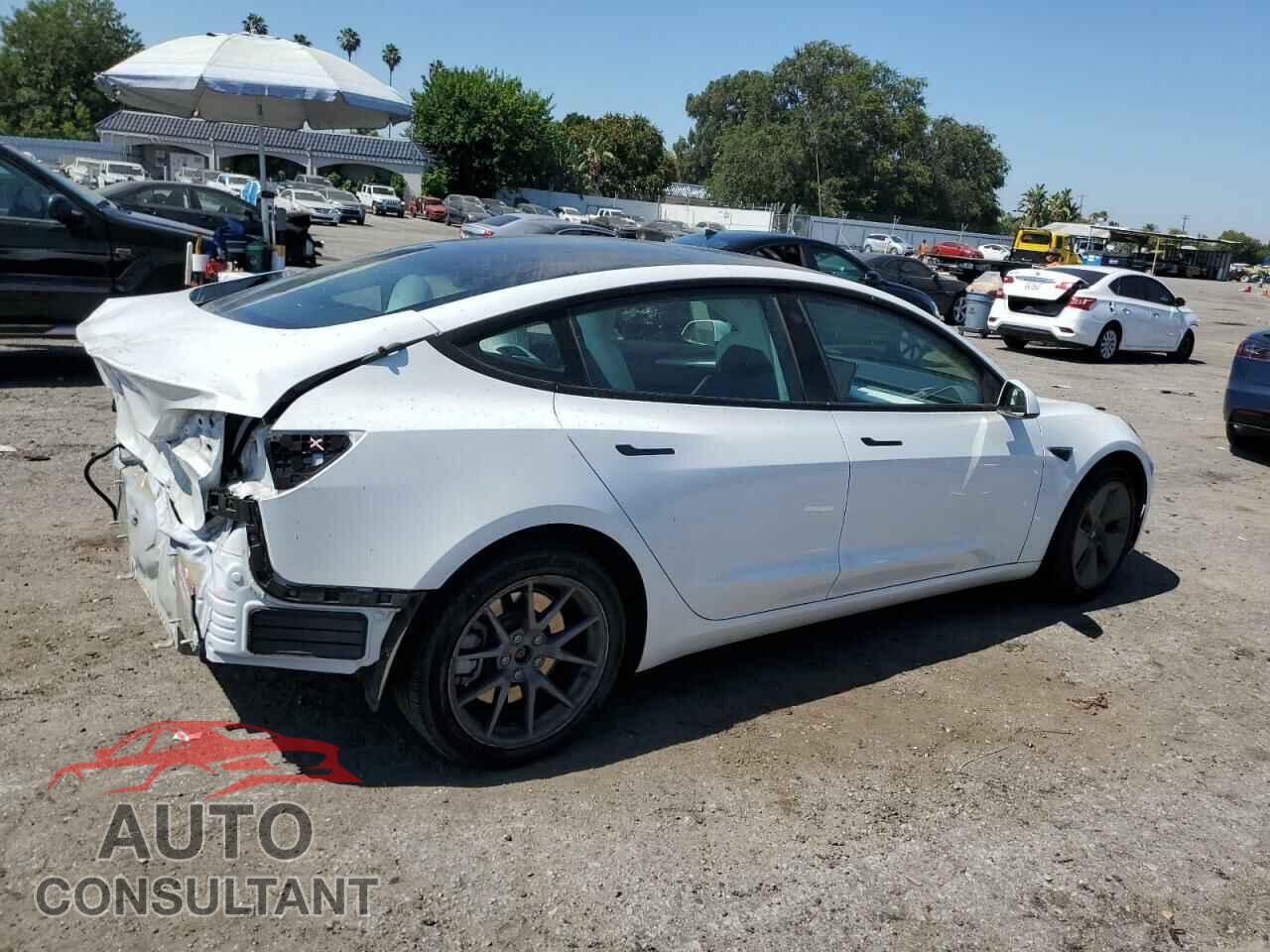 TESLA MODEL 3 2023 - 5YJ3E1EA1PF497190