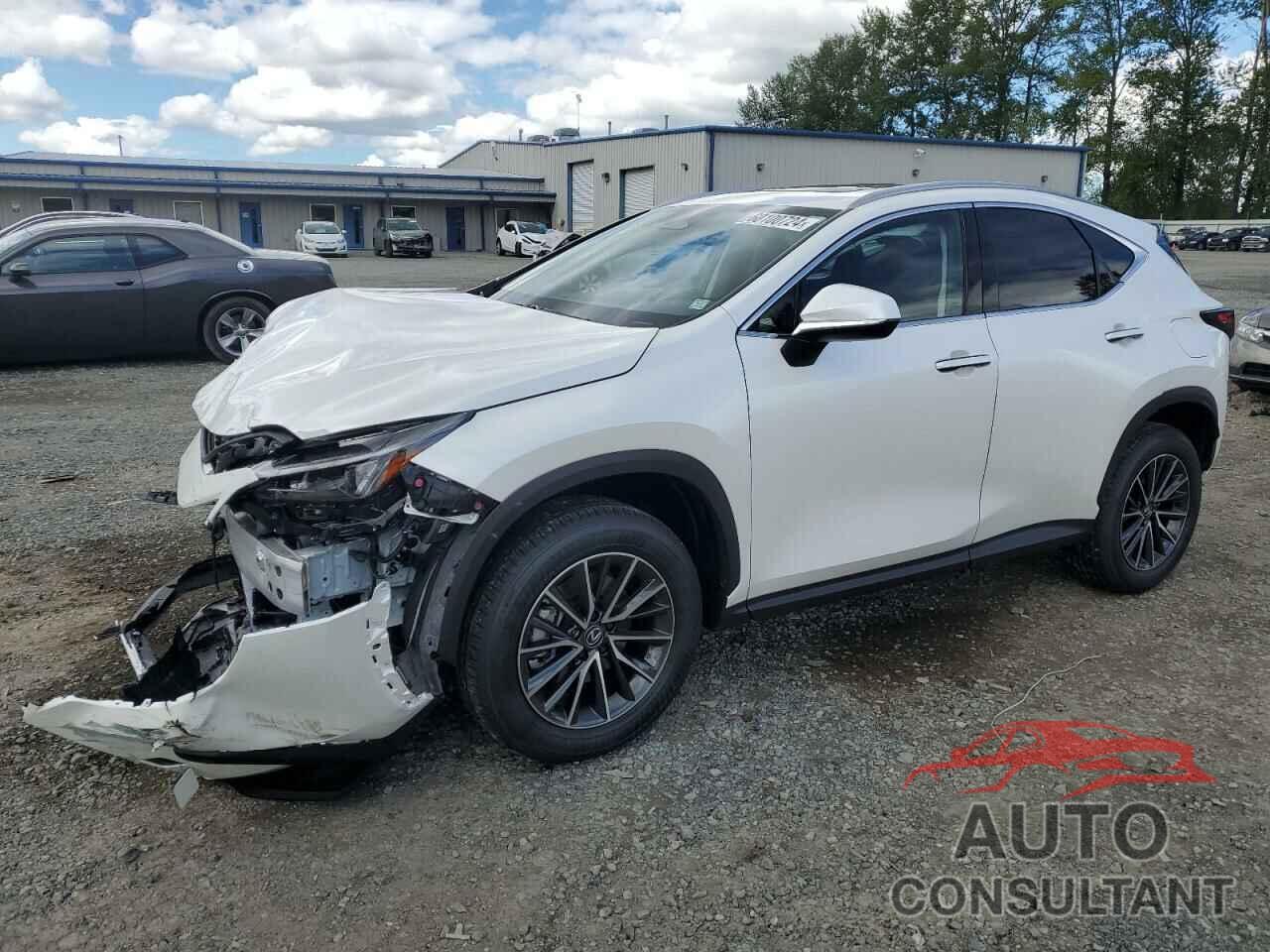 LEXUS NX 350 PRE 2025 - JTJGGCEZ4S2019089