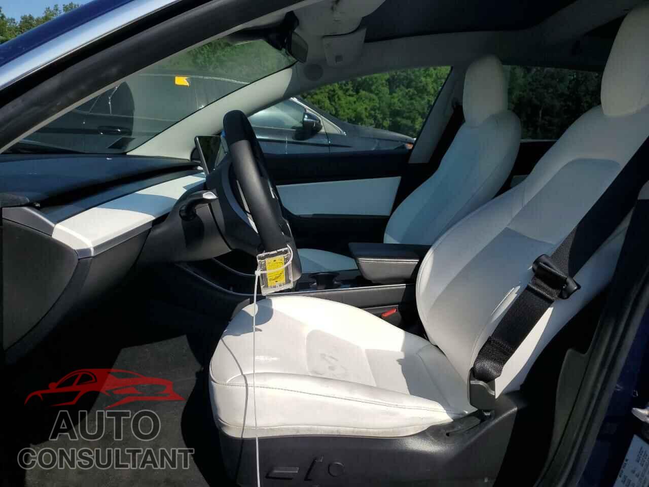 TESLA MODEL 3 2019 - 5YJ3E1EA4KF509731