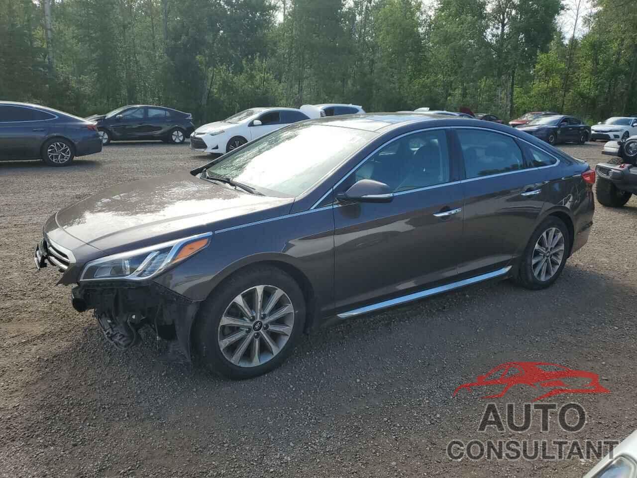 HYUNDAI SONATA 2016 - 5NPE34AF7GH342081