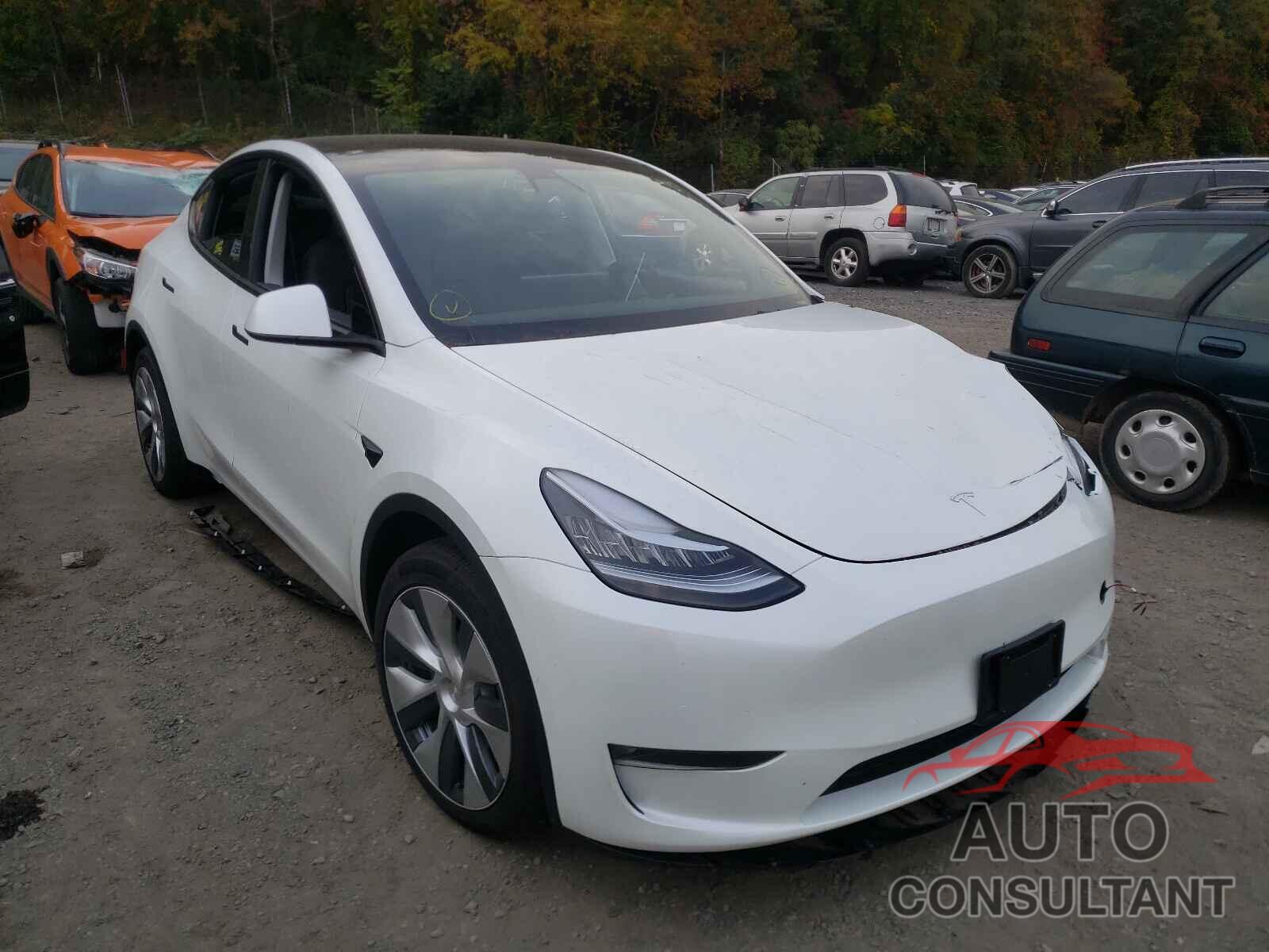 TESLA MODEL Y 2021 - 5YJYGAEE2MF239646