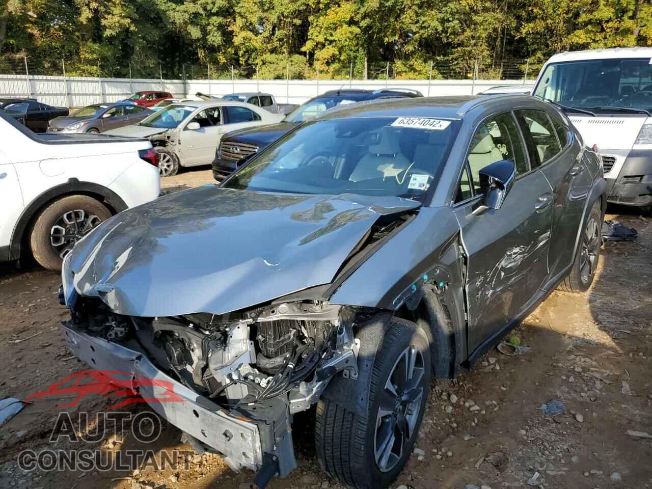 LEXUS UX 200 2020 - JTHP3JBH4L2027174