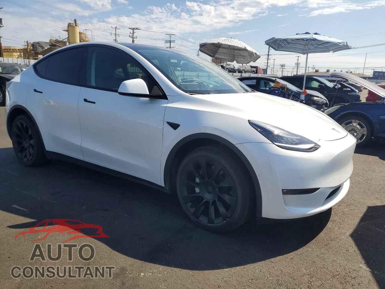 TESLA MODEL Y 2022 - 7SAYGDEE4NF409687
