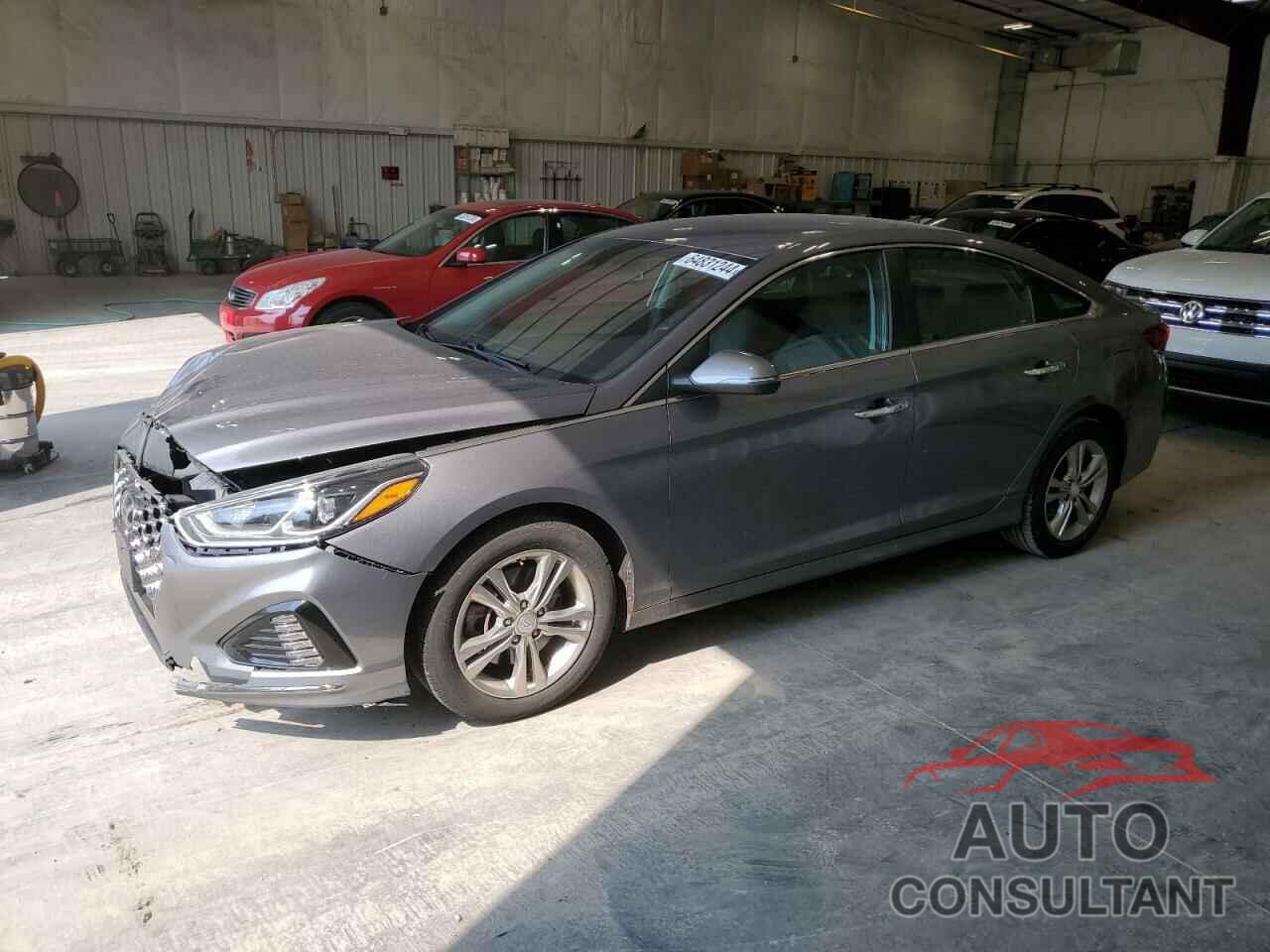 HYUNDAI SONATA 2019 - 5NPE34AF2KH817273