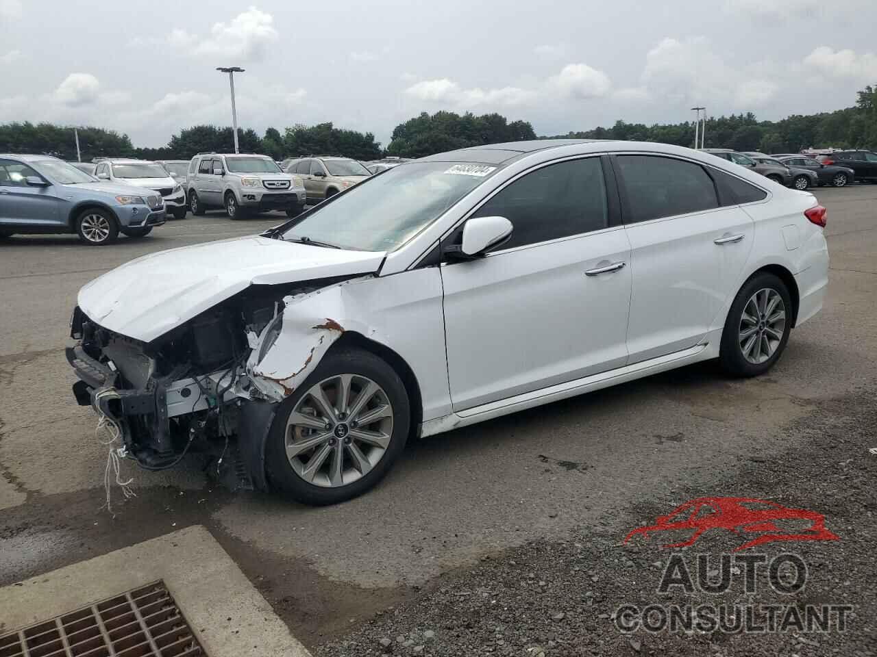 HYUNDAI SONATA 2016 - 5NPE34AF3GH342482